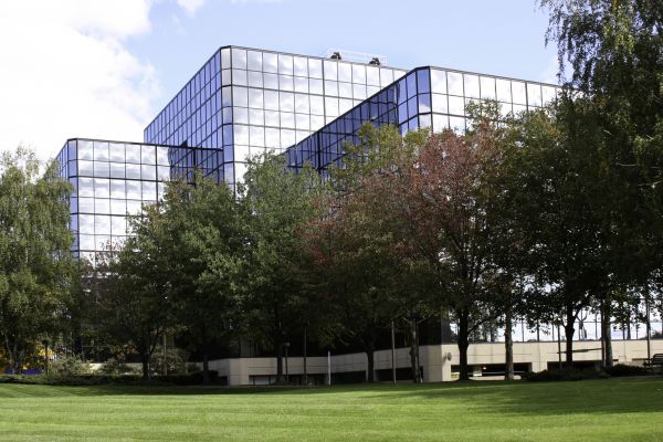 Commercial Tree Trimming in Reston