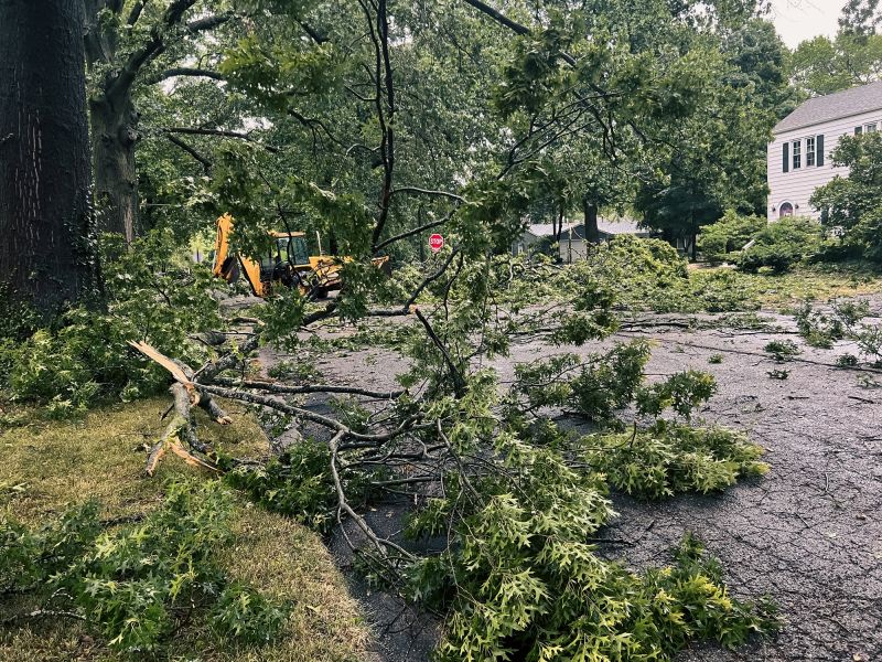 Storm Damage Tree on Commercial Property